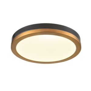 Temagami 1-Light LED Flush Mount in Brass and Graphite