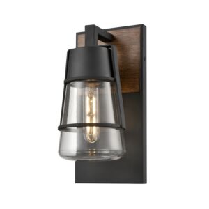 DVI Lake Of The Woods Outdoor 1-Light Wall Sconce in Black and Ironwood