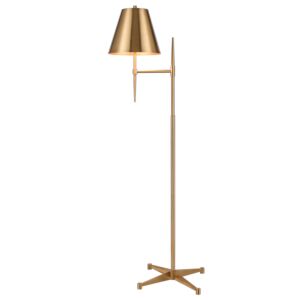 Otus 1-Light Floor Lamp in Aged Brass