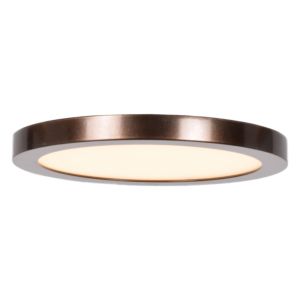 Access Disc Ceiling Light in Bronze