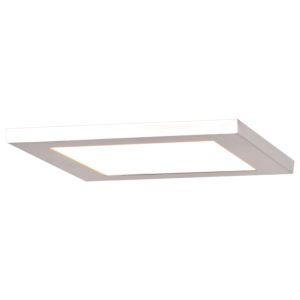 Access Boxer 10 Inch Ceiling Light in White