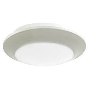 Access Relic Ceiling Light in White