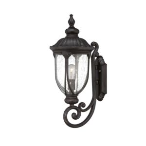 Laurens 1-Light Wall Sconce in Black Coral