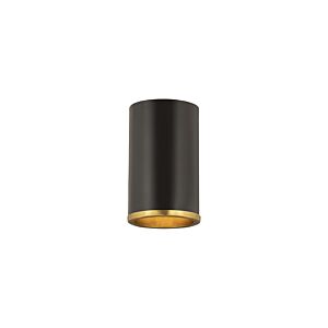 Z-Lite Arlo 1-Light Flush Mount Ceiling Light In Matte Black With Rubbed Brass