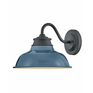 Hinkley Wallace 1-Light Outdoor Wall Light In Museum Black With Denim Blue Accent