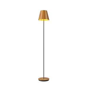 Conical 1-Light Floor Lamp in Teak