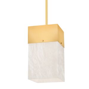 Times Square 1-Light Pendant in Aged Brass