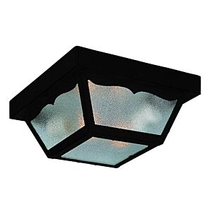 Builder's Choice 2-Light Matte Black Ceiling Light