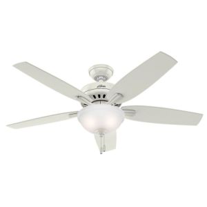 Newsome 52-inch 2-Light Indoor Clear Frosted Ceiling Fan