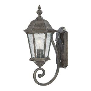 Telfair 1-Light Wall Sconce in Black Coral