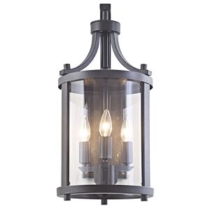 Niagara Outdoor 3-Light Outdoor Wall Sconce in Hammered Black