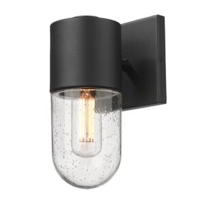 Ezra 1-Light Outdoor Wall Sconce in Natural Black