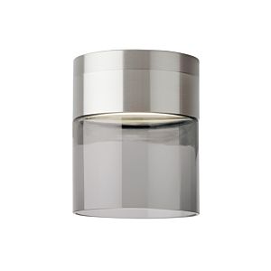 Visual Comfort Modern Manette 3000K LED 5" Ceiling Light in Satin Nickel and Transparent Smoke