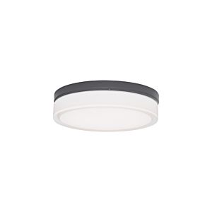 Tech Cirque 2 Inch Outdoor Wall Light in Charcoal