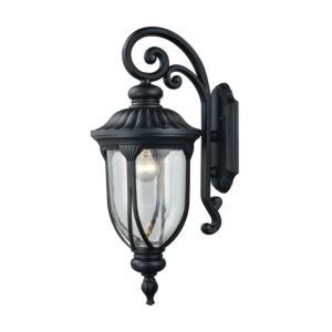 Derry Hill 1-Light Outdoor Wall Sconce in Matte Black