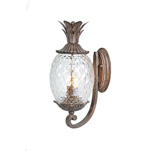 Lanai 2-Light Wall Sconce in Black Coral