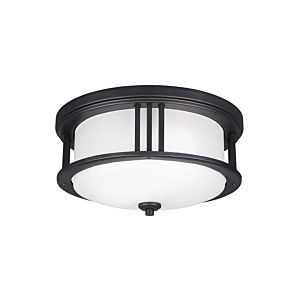 Sea Gull Crowell 2 Light Outdoor Ceiling Light in Black