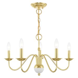 Windsor 5-Light Chandelier in Polished Brass w with White