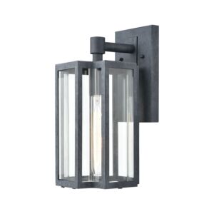 Bianca 1-Light Outdoor Wall Sconce in Aged Zinc