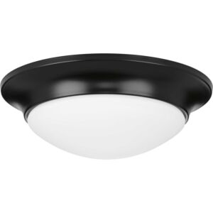 Etched Opal Dome 1-Light Flush Mount in Black