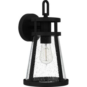 Barber 1-Light Outdoor Lantern in Matte Black