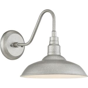 Quoizel Beachside 10 Inch Outdoor Hanging Light in Galvanized