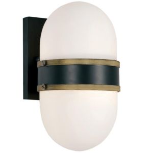 Brian Patrick Flynn for Crystorama Capsule 10 Inch Outdoor Wall Light in Black And Gold