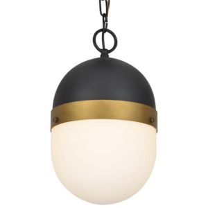 Brian Patrick Flynn for Crystorama Capsule 13 Inch Outdoor Ceiling Light in Black And Gold