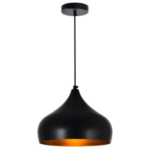 CWI Dynamic 1 Light Down Pendant With Black Finish