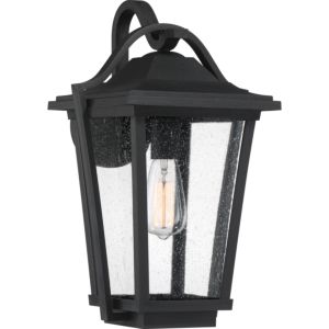 Quoizel Darius 11 Inch Outdoor Wall Light in Earth Black