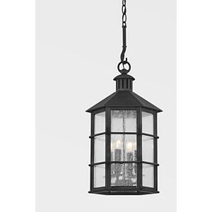 Lake County 4-Light Exterior Lantern in French Iron