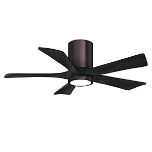 Irene 6-Speed DC 42" Ceiling Fan w/ Integrated Light Kit in Brushed Bronze with Matte Black blades