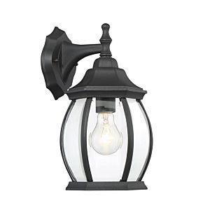 1-Light Outdoor Wall Lantern in Black