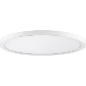 Quoizel Outskirts 20 Inch Ceiling Light in White Lustre