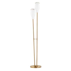 Geyser 2-Light Floor Lamp in Patina Brass