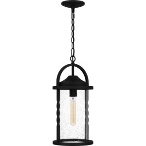 Reece 1-Light Outdoor Hanging Lantern in Earth Black