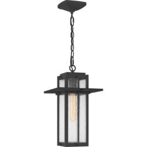 Randall 1-Light Outdoor Hanging Lantern in Mottled Black