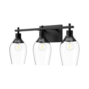 Kingsley 3-Light Bathroom Vanity Light in Matte Black with Clear Glass