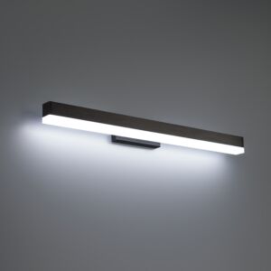 Styx 1-Light LED Bathroom Vanity Light in Black