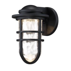 Steampunk 1-Light LED Wall Light in Black