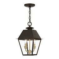 Wentworth 2-Light Outdoor Pendant in Bronze w with Antique Brass Finish Cluster