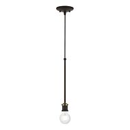 Lansdale 1-Light Pendant in Bronze w with Antique Brass