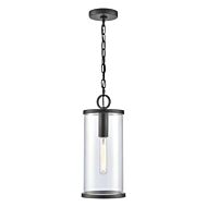 Hopkins 1-Light Outdoor Hanging Lantern in Charcoal Black