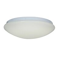 Access Catch Ceiling Light in White