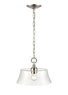 Millennium Caily Pendant Light in Brushed Nickel