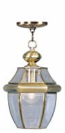 Monterey 1-Light Outdoor Pendant in Antique Brass