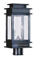 Princeton 2-Light Outdoor Post Lantern in Vintage Pewter w with Polished Chrome Stainless Steel