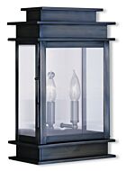 Princeton 2-Light Outdoor Wall Lantern in Vintage Pewter w with Polished Chrome Stainless Steel