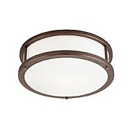 Access Conga Ceiling Light in Bronze
