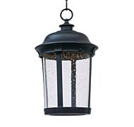 Maxim Lighting Dover 16.5 Inch LED Outdoor Hanging Lantern in Bronze